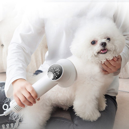 Silent Dog & Cat Grooming Dryer – Pet Hair Care