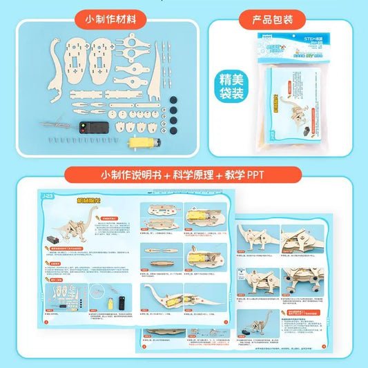 Educational Wooden Puzzle Toys – STEM Experiment Kits