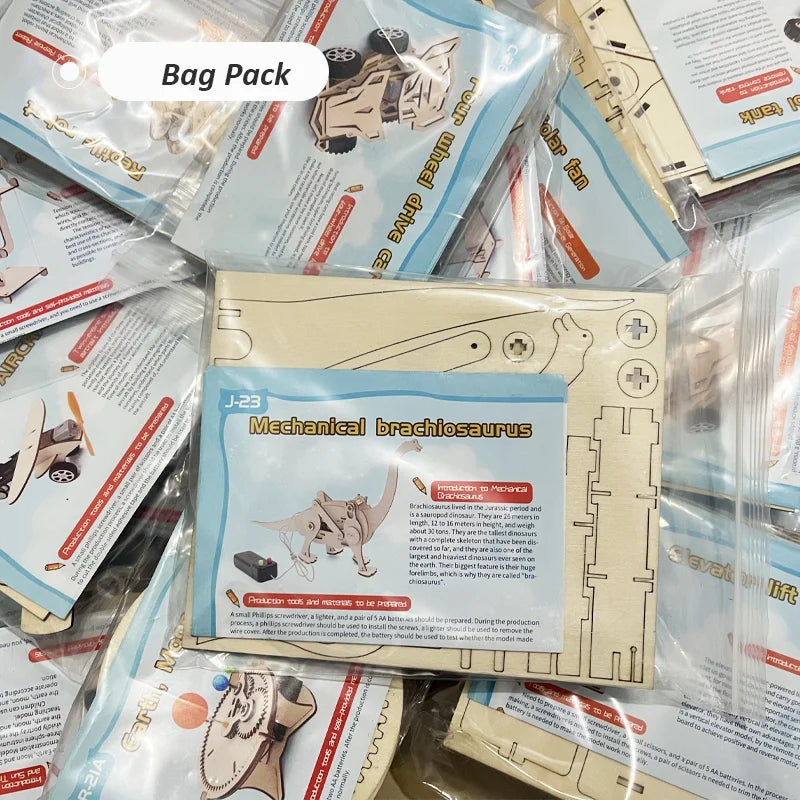 Educational Wooden Puzzle Toys – STEM Experiment Kits