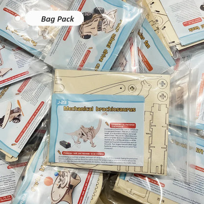 Educational Wooden Puzzle Toys – STEM Experiment Kits