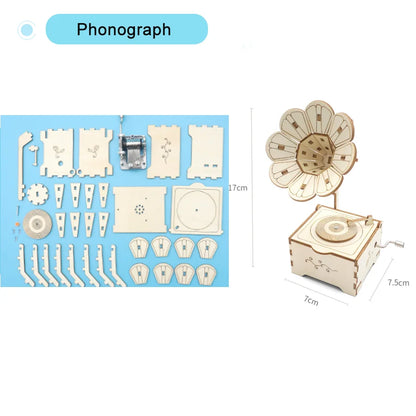 Educational Wooden Puzzle Toys – STEM Experiment Kits