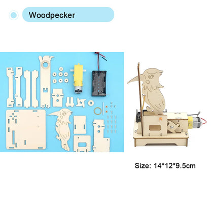 Educational Wooden Puzzle Toys – STEM Experiment Kits
